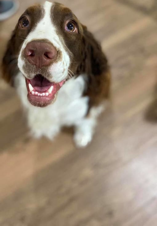 Dog Friendly Community at Savannah Court of Camilla, Camilla, GA, 31730