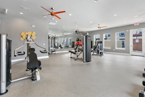 San Marcos Apartments - Sadler House - Indoor Gym With Open Concept, Large Windows, Recessed Lighting, and Ceiling Fans. Equipment Includes Various Weight Benches, Arm and Back Equipment, and Excercise Balls.