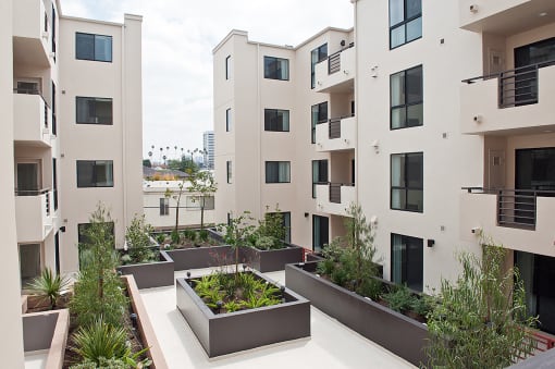 Courtyard View of Santa Monica at Federal by Wiseman