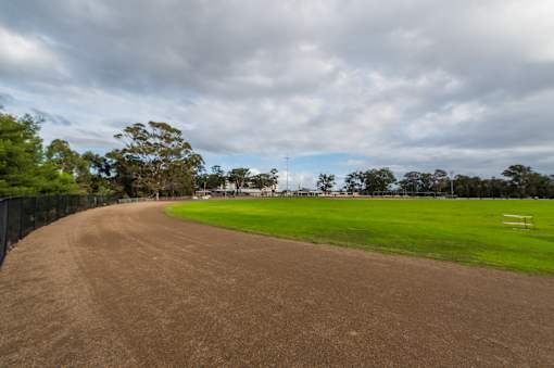 A dirt track leads to a green field with a fence on the left.