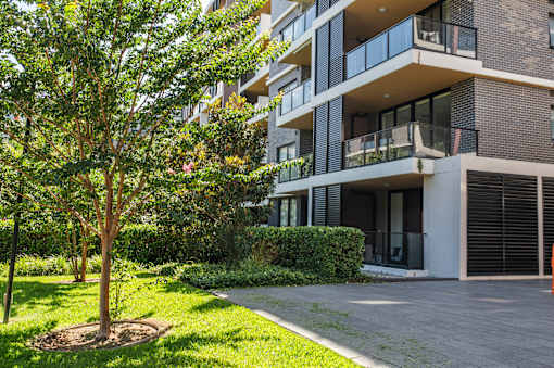A tree is in front of a building.