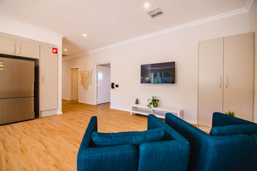 Two blue chairs in a room with a television and a plant.