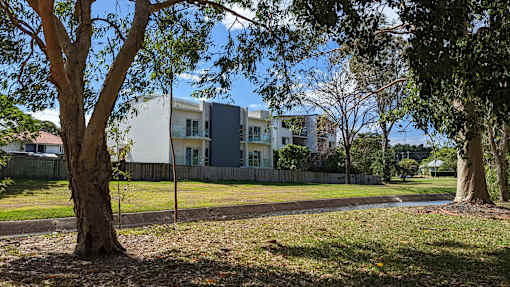 A tree in front of a white building with a fence.