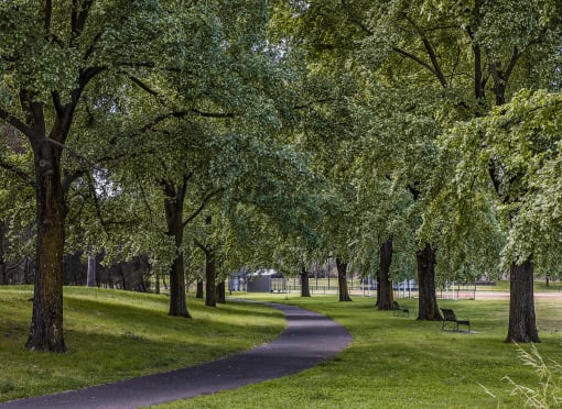 a path through a park with trees and a bench