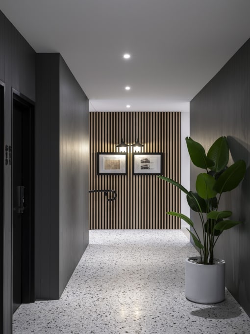 a large potted plant in a room with a black door