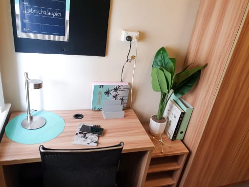 a desk with a plant and a chair in a room