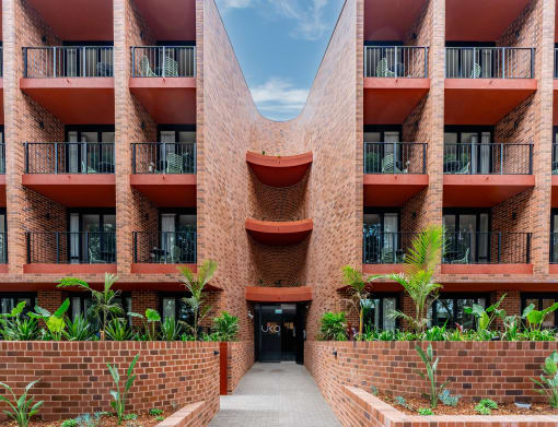 a group of potted plants in front of a building