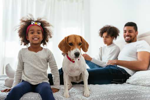 a little girl sitting on a bed with a dog and a family