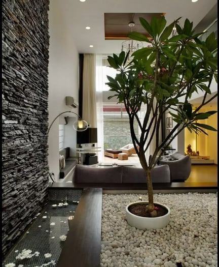 a potted tree in the middle of a living room
