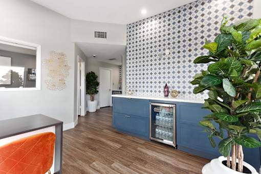 A room with a blue counter and a potted plant.