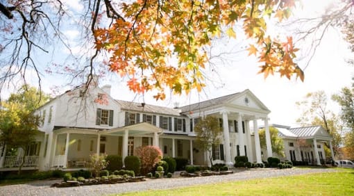 a large white house with a tree in front of it