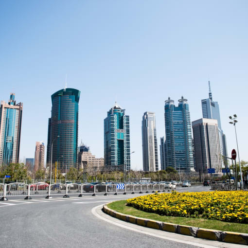 a city with skyscrapers and a roundabout with yellow flowers