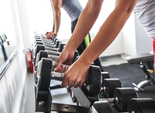 people working out on weights at a gym