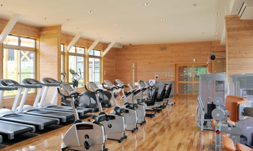a large fitness room with a lot of treadmills and exercise machines