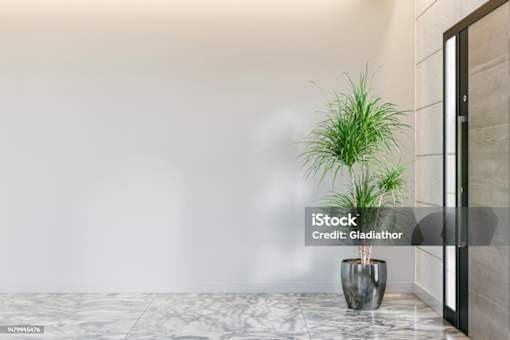 A tall plant in a grey vase sits on a marble floor.