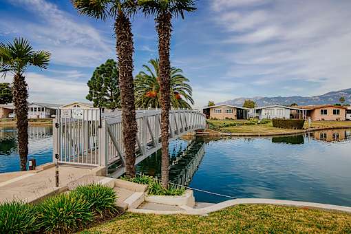 A bridge over a body of water with palm trees on either side.