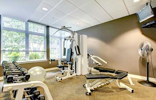 the apartments at masse corner 205 fitness room