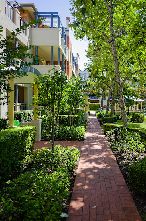 A pathway with green bushes on both sides.