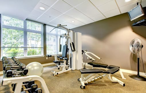 weight room