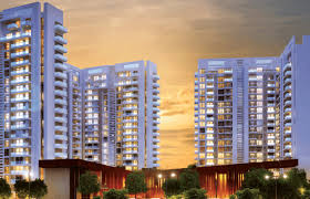 Tall Property