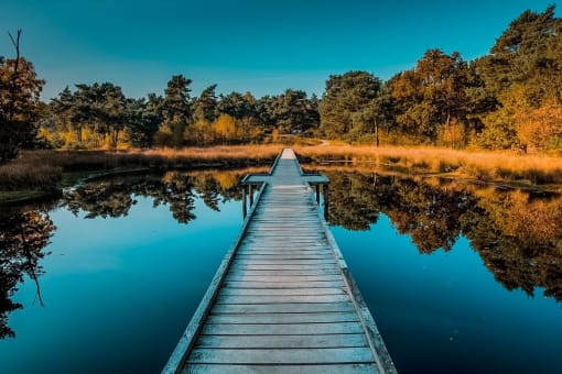 Beautiful Bridge