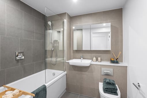 Typical PlaisowHub bathroom