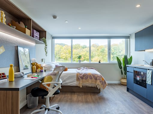 A room with a bed, desk, and chair.