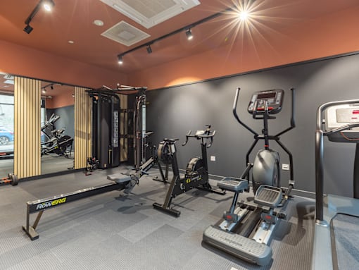 A gym with a variety of equipment including a rowing machine.