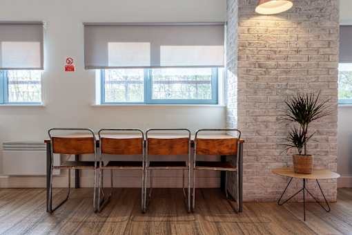 A white room with a row of chairs and a plant.