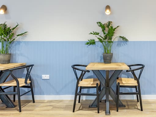 A dining table with chairs and potted plants on a blue striped wall.