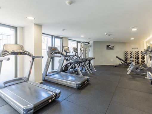 A gym with treadmills, elliptical machines, and weights.