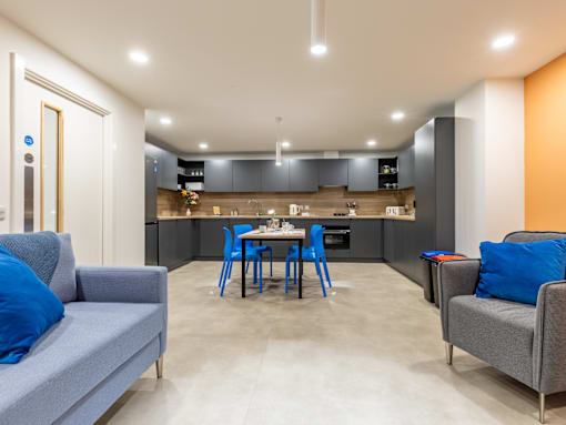 A modern kitchen with a grey couch and blue chairs.