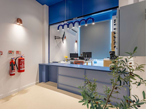 A reception area with a blue counter and a plant in the foreground.