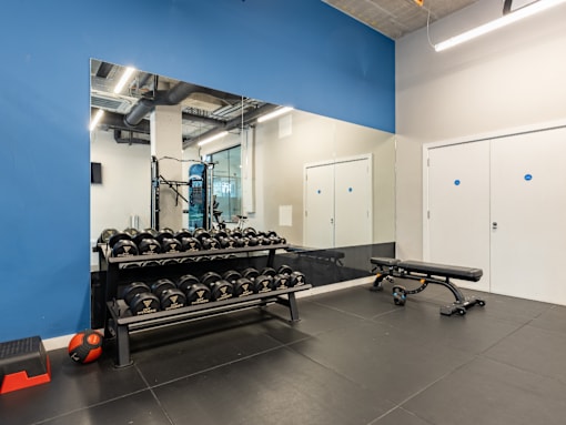 A gym with a bench, weights, and a mirror.