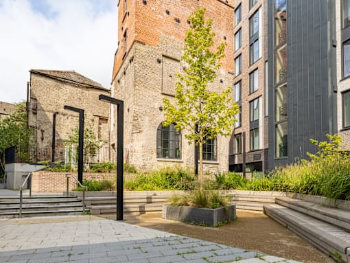 A tree in a courtyard with a brick building in the background.