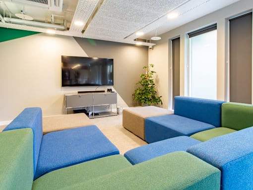 A room with a television and a green plant.