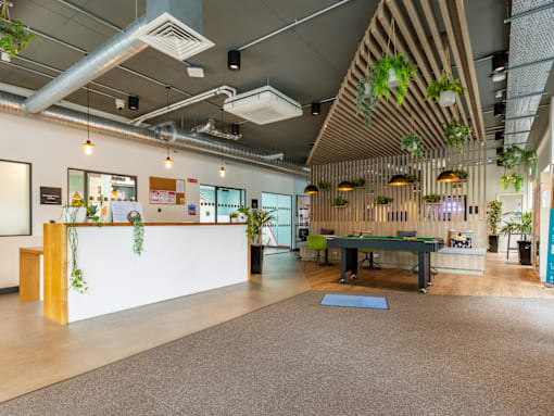 A reception area with a white counter and a green rug.