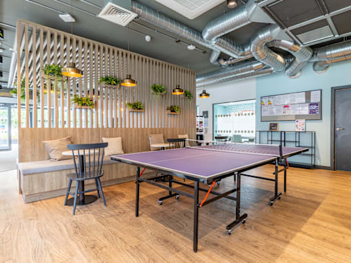 A ping pong table is in the middle of a room with a wooden floor and a wall with plants on it.
