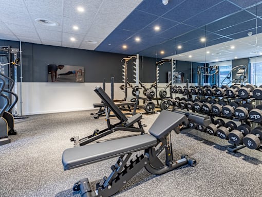 A gym with a variety of equipment including dumbbells and weight plates.