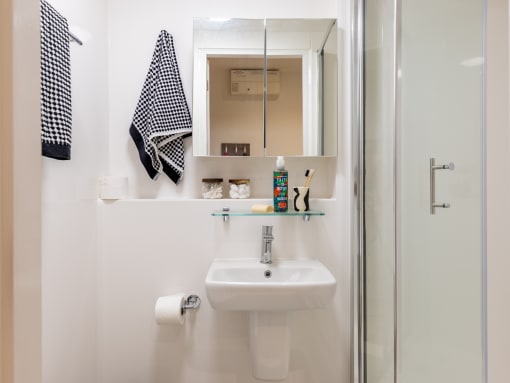 a small bathroom with a sink and a shower