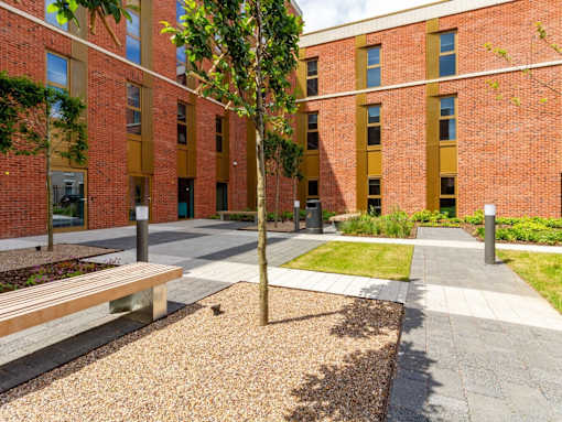 A tree stands in a courtyard between two red brick buildings.