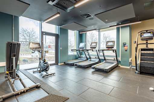 A gym with treadmills, exercise bikes, and other equipment.