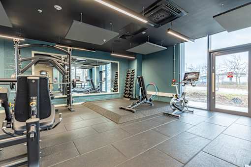 A gym with a variety of equipment including a treadmill, weights, and a bench press.