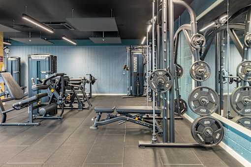 A gym with a bench, weights, and a mirror.