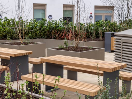 A set of wooden benches are in front of a building with bushes and trees.