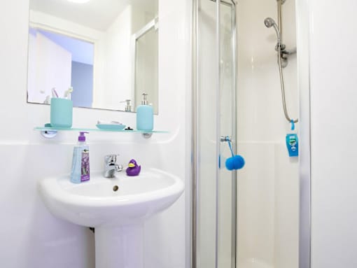 Europa, Liverpool - En suite, 5