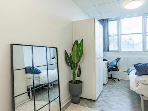 A room with a mirror, a plant, and a bed.
