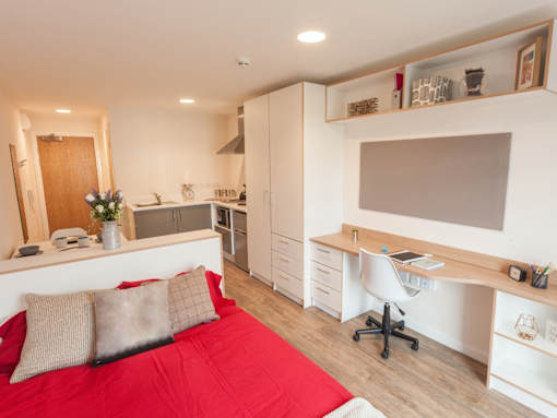 Roman House, Newcastle - Studio, 4