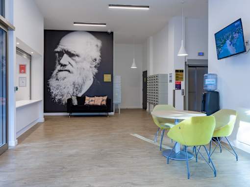 A room with a large mural of a man's face, a sofa, a table with chairs, and a TV screen.