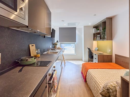 A modern kitchen with a bedroom in the back.